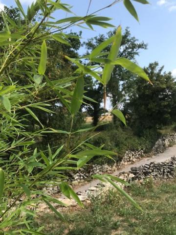 Ratatouille Bed & Breakfast Mayrinhac-Lentour Bagian luar foto